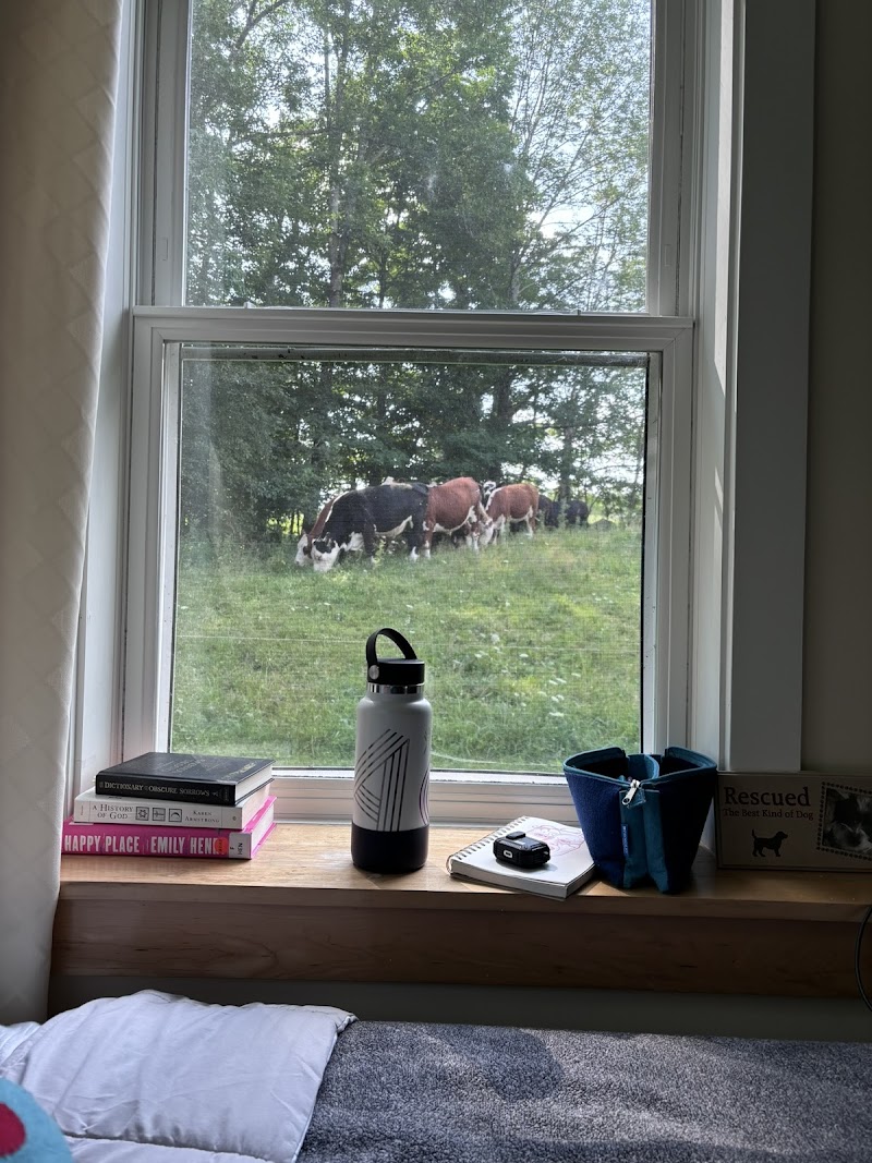 Spring Lake Ranch - Photo 4
