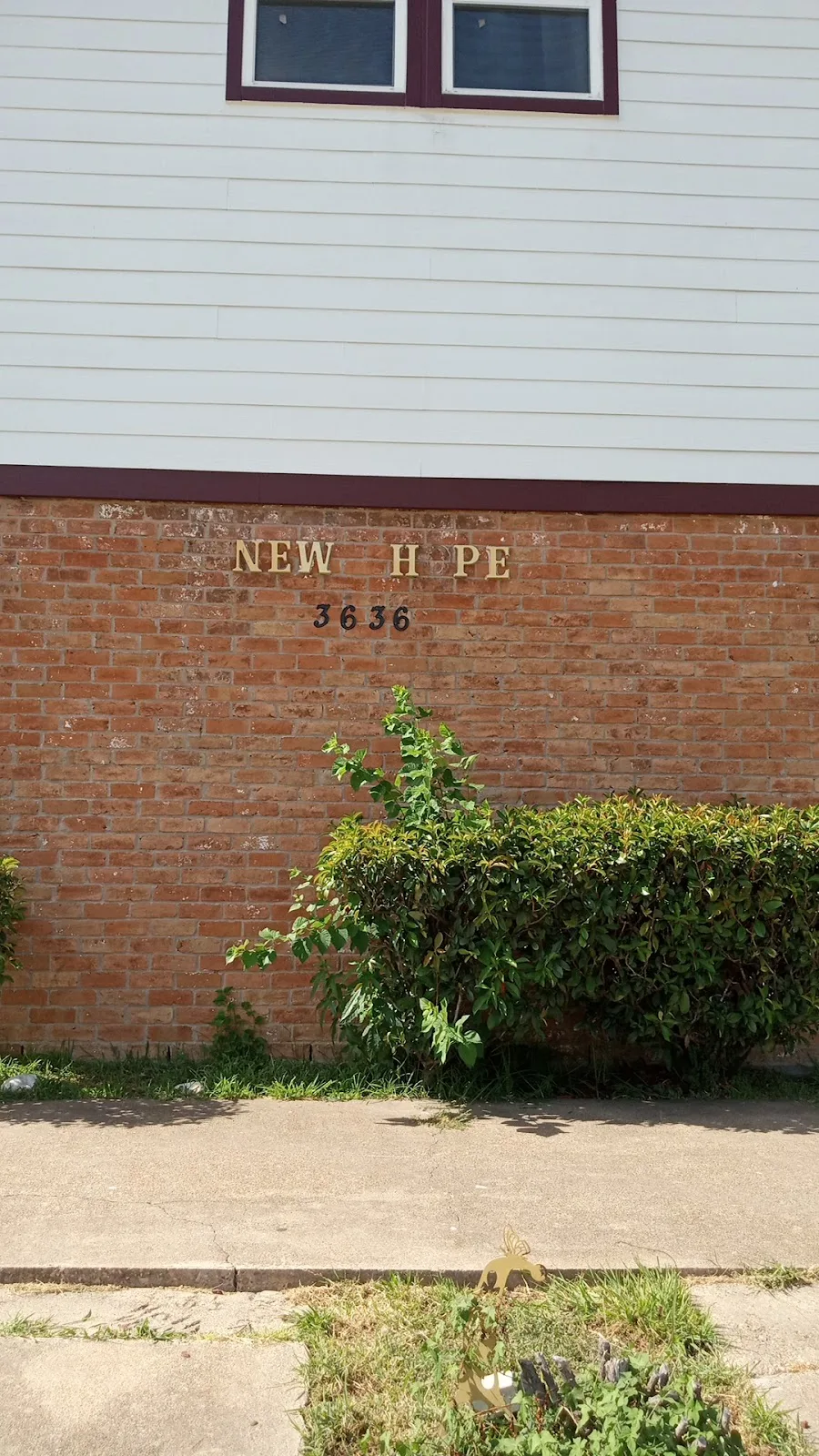 New Hope Women's Center