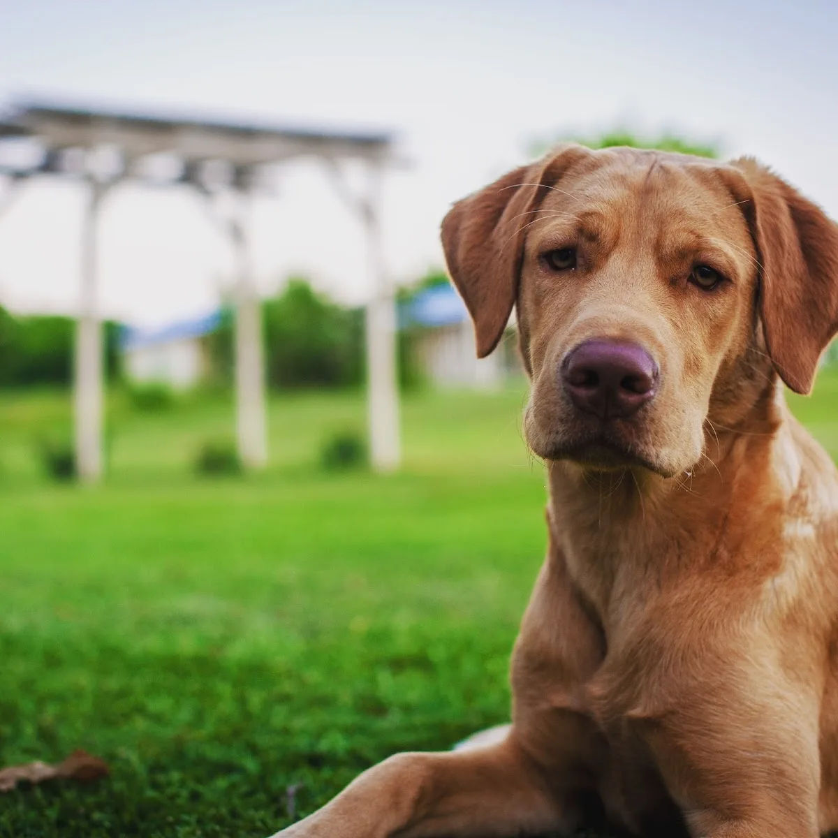 Any Length Retreat Drug & Alcohol Rehab Texas