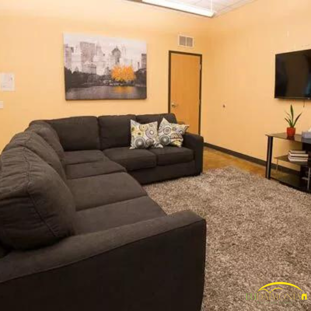 Eudaimonia Recovery Homes Sober Living - Houston, TX