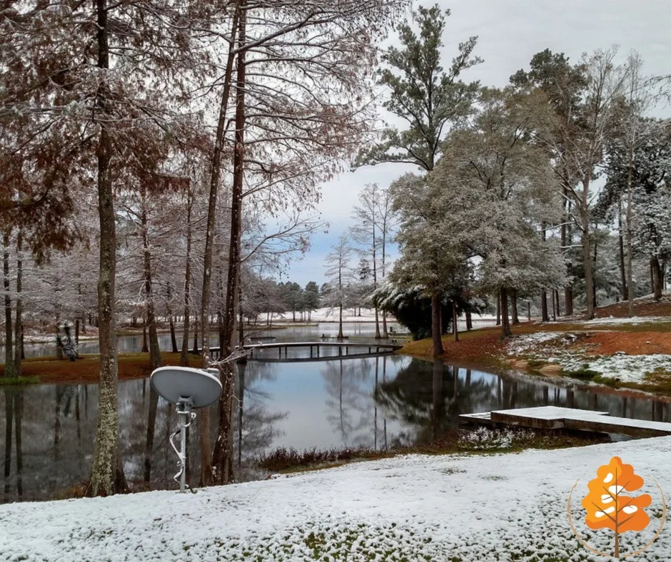 Cypress Lake Recovery