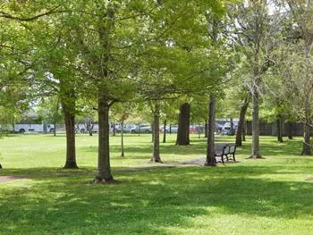 UTHealth Houston Harris County Psychiatric Center