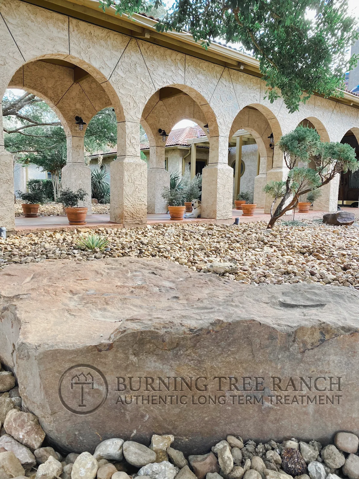 Burning Tree Ranch