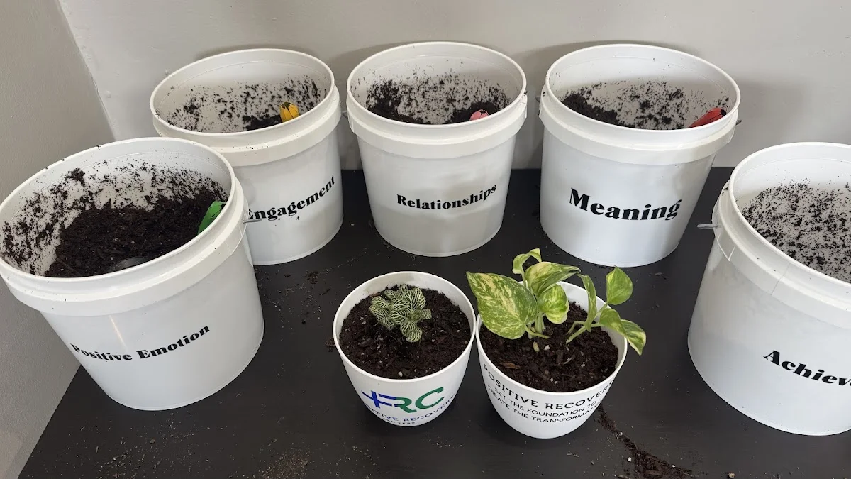 Positive Recovery Centers - Houston, Montrose